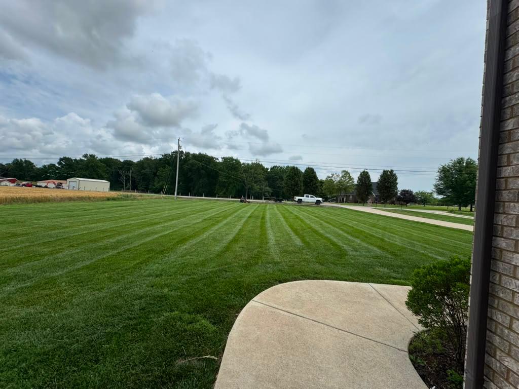 Clean lawn edging service